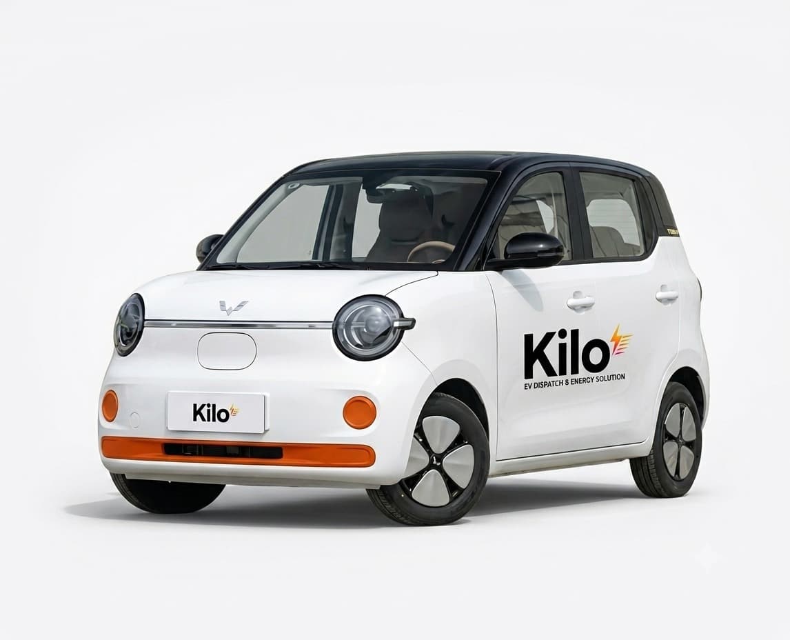 Eco-Taxi E-Hailing